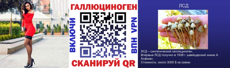 Купить закладки  Грязи  Псилоцибиновые грибы мухоморы 